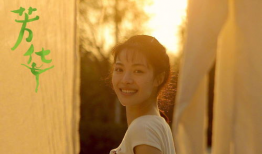 芳华电影,青春岁月里的梦想与奋斗