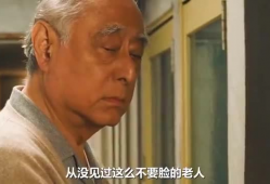 日本电影保姆,揭秘家庭育儿背后的温情与挑战