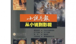 电影小说,跨越时空的奇幻之旅