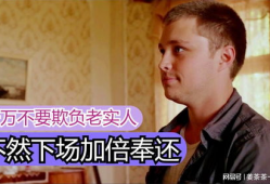 农夫电影网,探寻乡村生活的魅力与温情