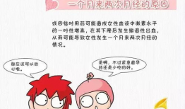 大姨妈漫画,女性生理周期的趣味解读