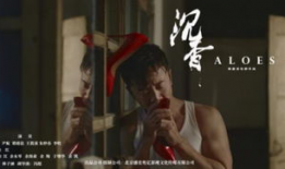 沉香电影,穿越时空的神秘之旅